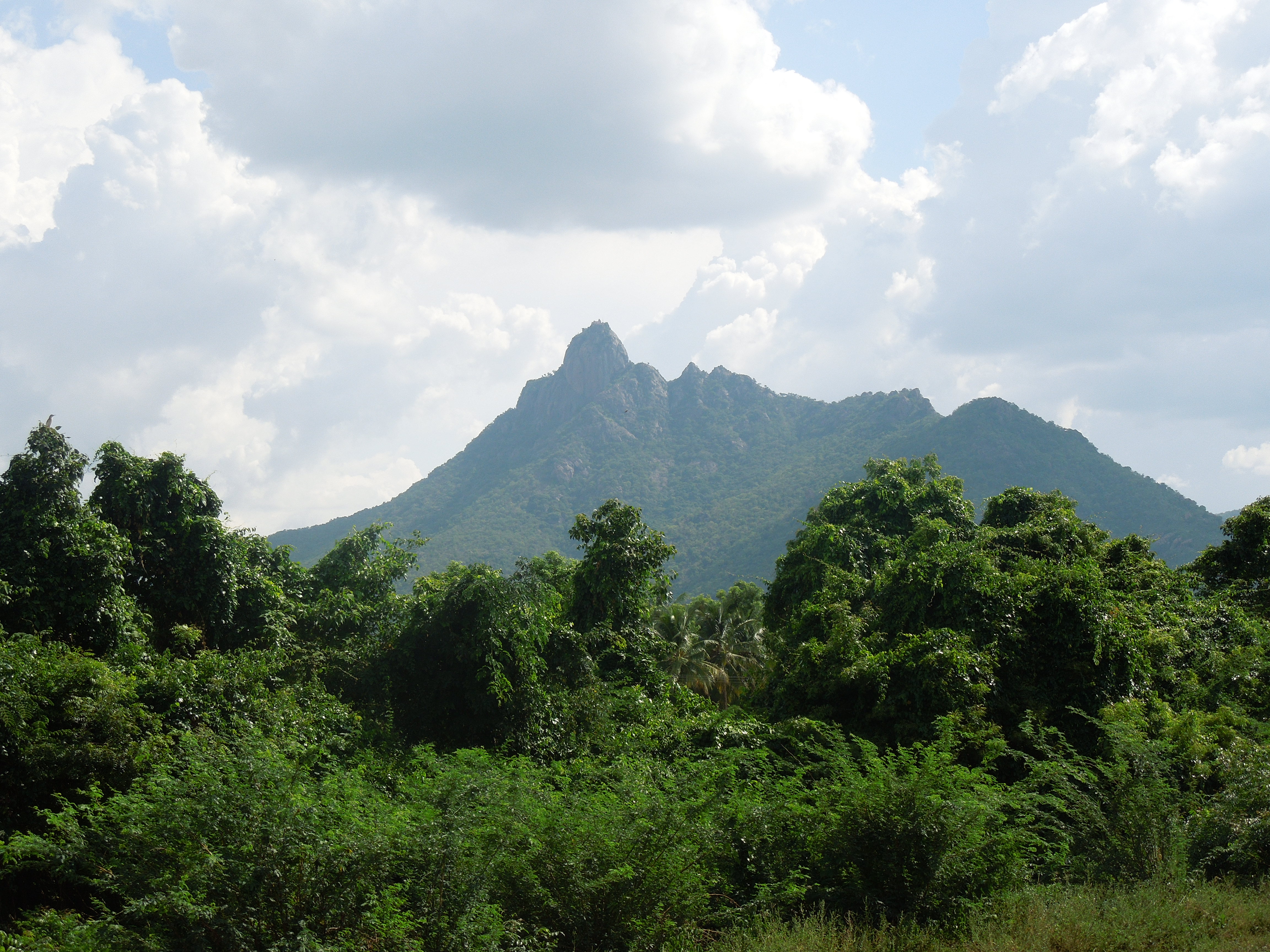Parvathamalai Hill View